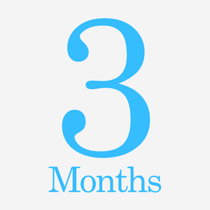 3 Months Plan