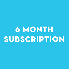 6 Months Plan